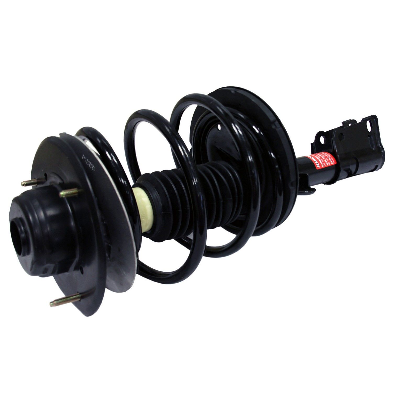 Suspension Strut and Coil Spring Assembly