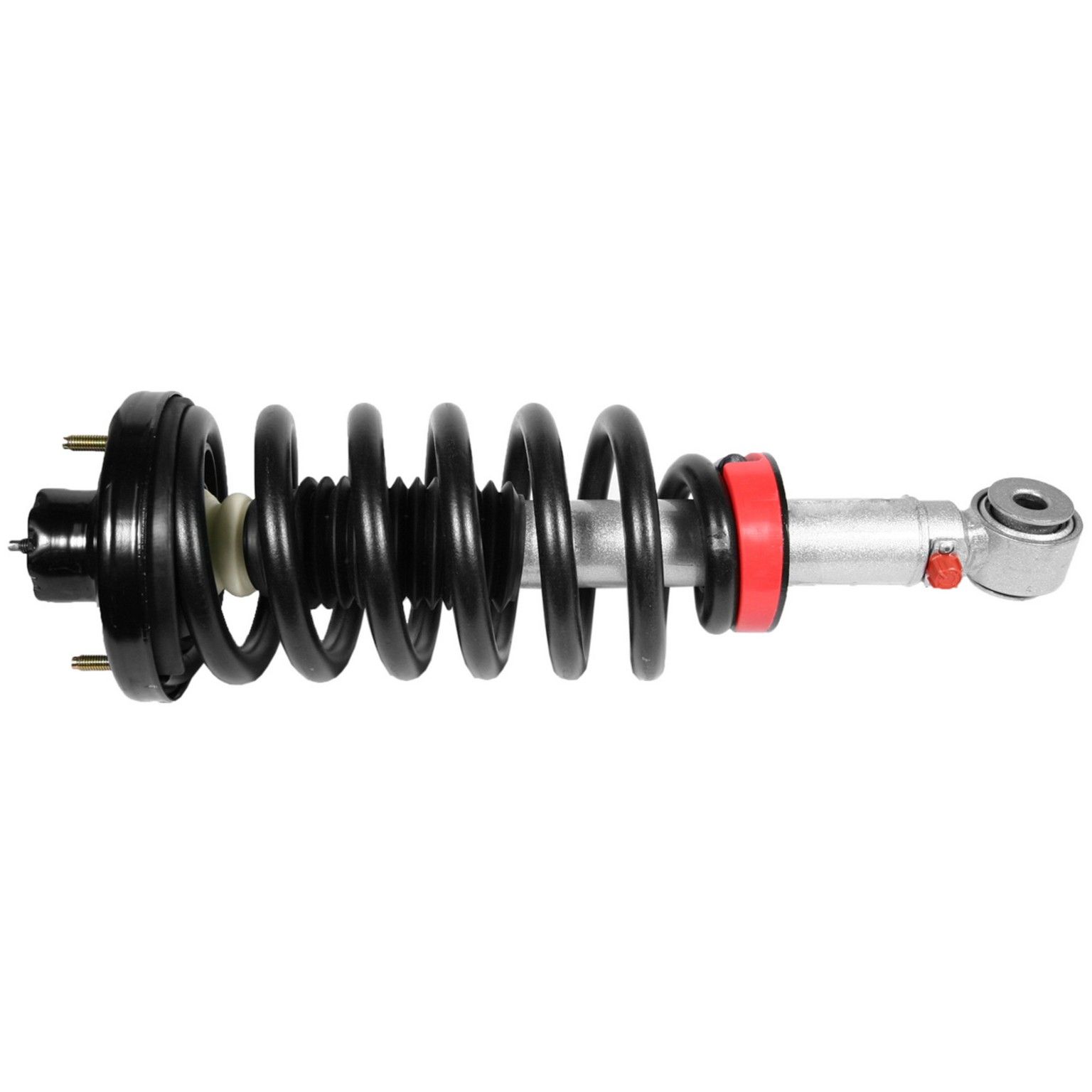 2006, 2005, 2004, 2003 Ford Expedition Suspension Strut and Coil Spring Assembly