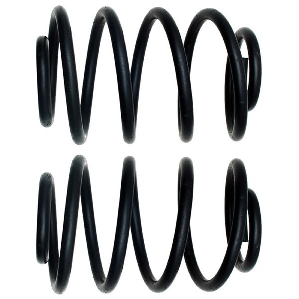 Moog Coil Spring Set  Rear 