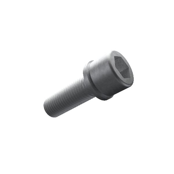 ABS Control Module Bolt (Mopar 68095707AA)