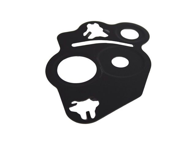 EGR Valve Gasket (Motorcraft CG748)