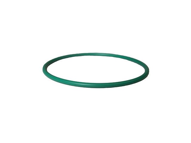 Fuel Pump Tank Seal (Motorcraft CG807)