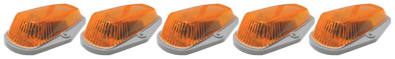 1998, 1997 Ford Expedition Truck Cab Light