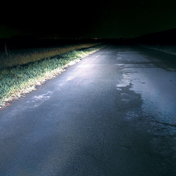 PIAA Fog Light Bulb 