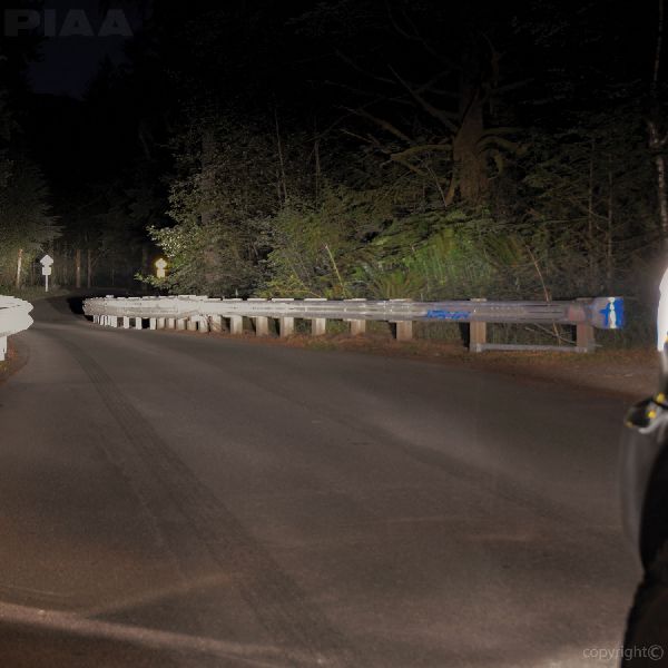 PIAA Headlight Bulb 