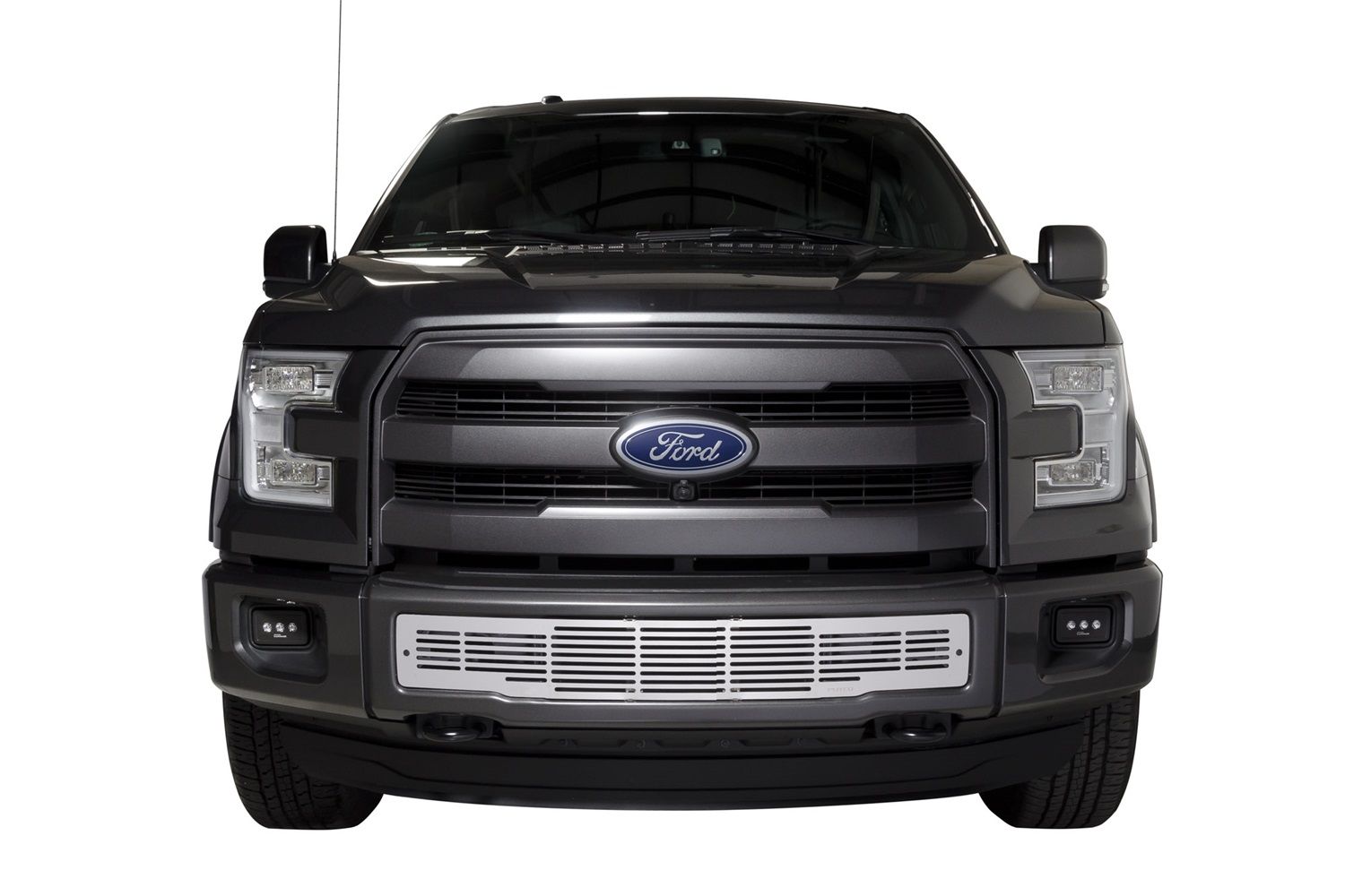 2017, 2016, 2015 Ford F-150 Bumper Grille Insert