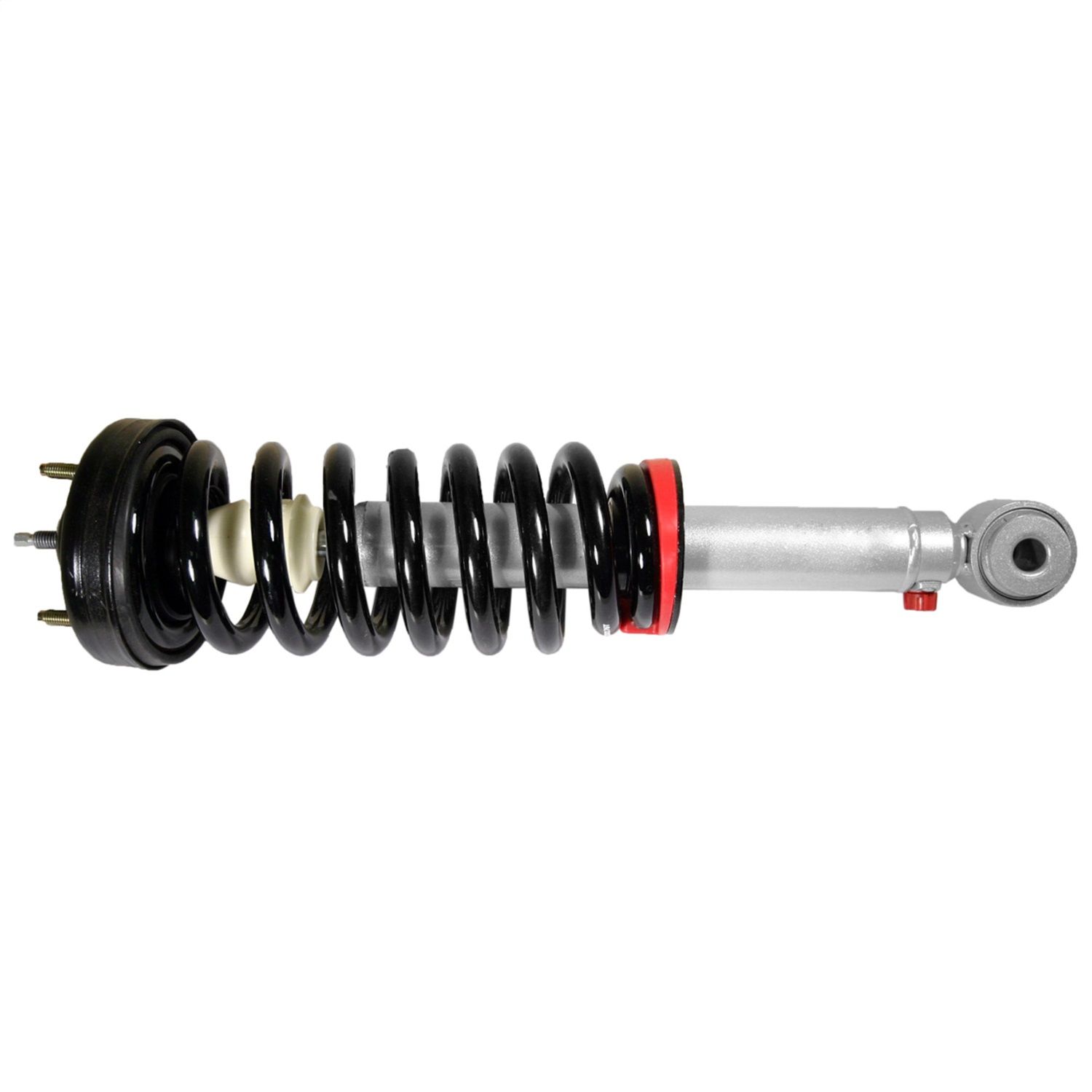 2013, 2012, 2011, 2010, 2009 Ford F-150 Suspension Strut and Coil Spring Assembly