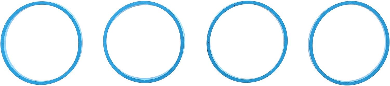 2004, 2003, 2002 Ford Focus Engine Intake Manifold Gasket Set