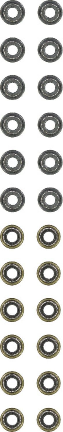 2005, 2004, 2003, 2002, 2001 Lexus IS300 Engine Valve Stem Oil Seal Set