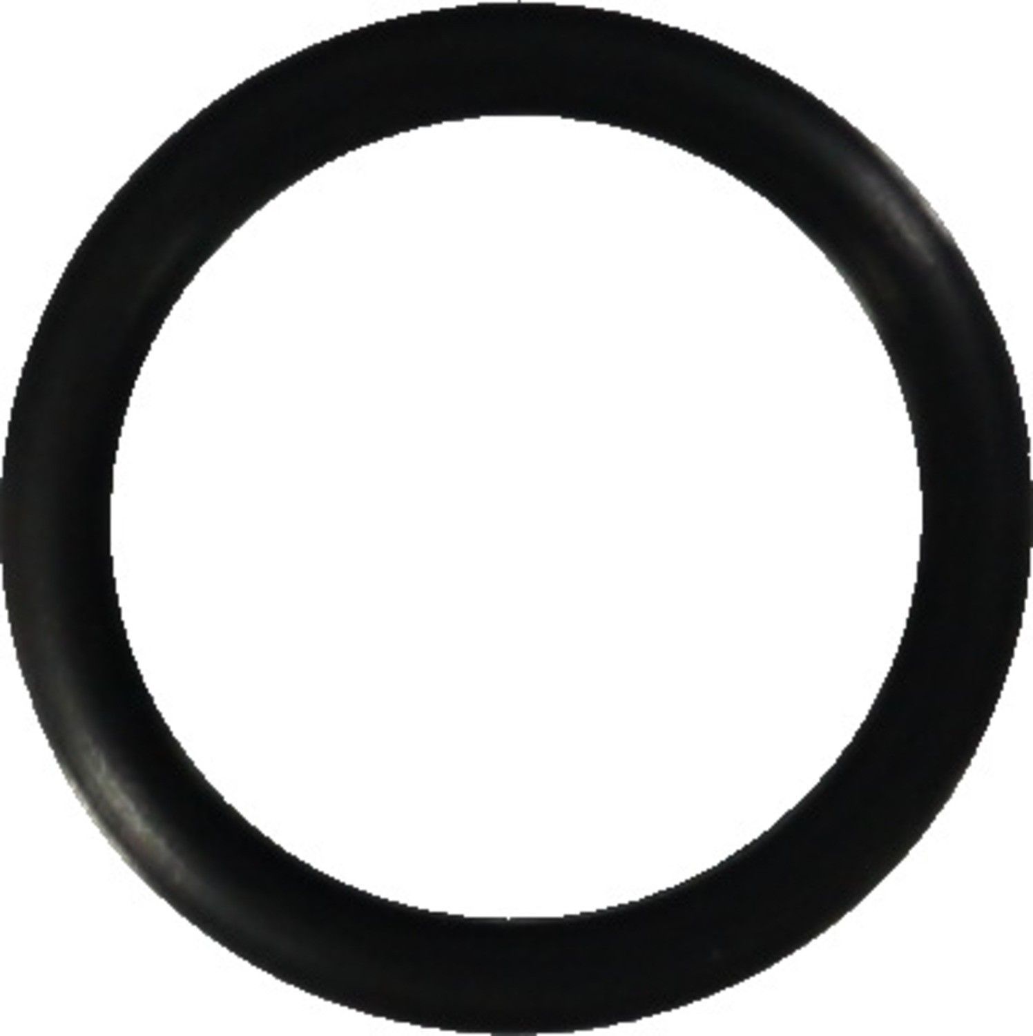 2003-2005 BMW 323Ci Engine Coolant Pipe O-Ring Reinz