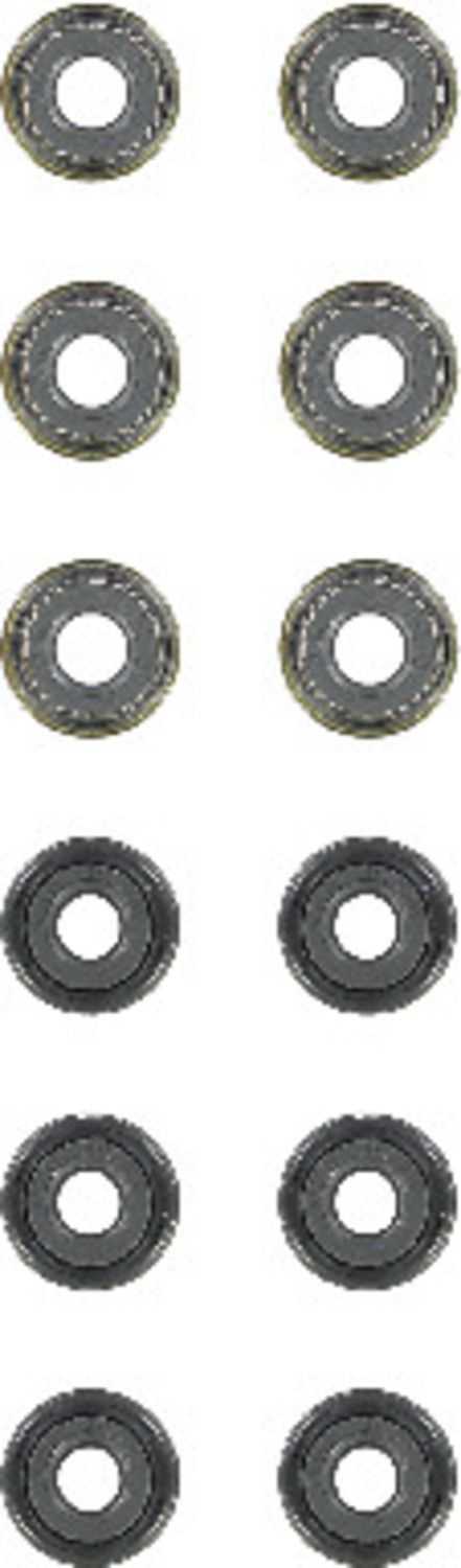 2011, 2010, 2009, 2008, 2007 Lexus GS350 Engine Valve Stem Oil Seal Set