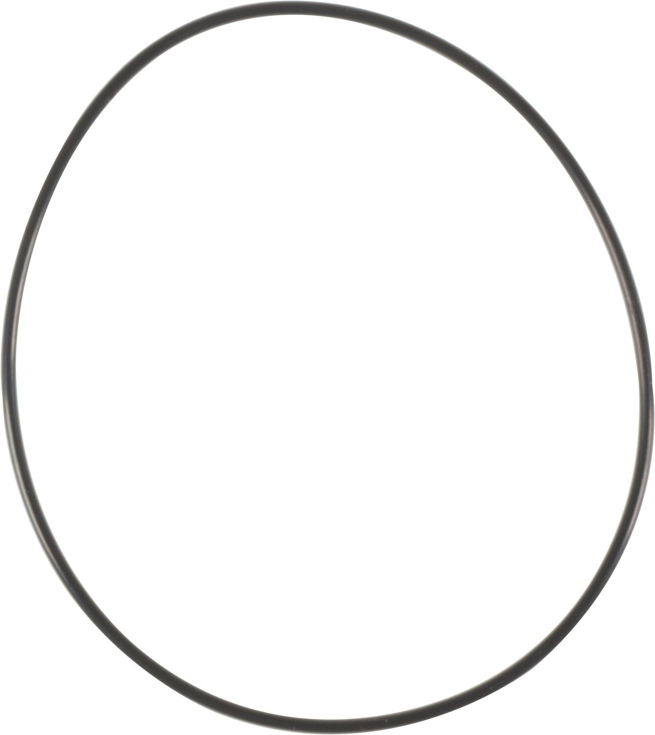 2006-2009 Avanti II Engine Water Pump O-Ring Reinz