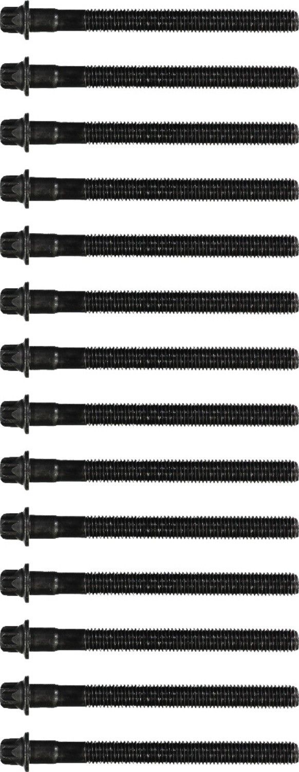 2003-2005 BMW 320i Engine Cylinder Head Bolt Set Reinz