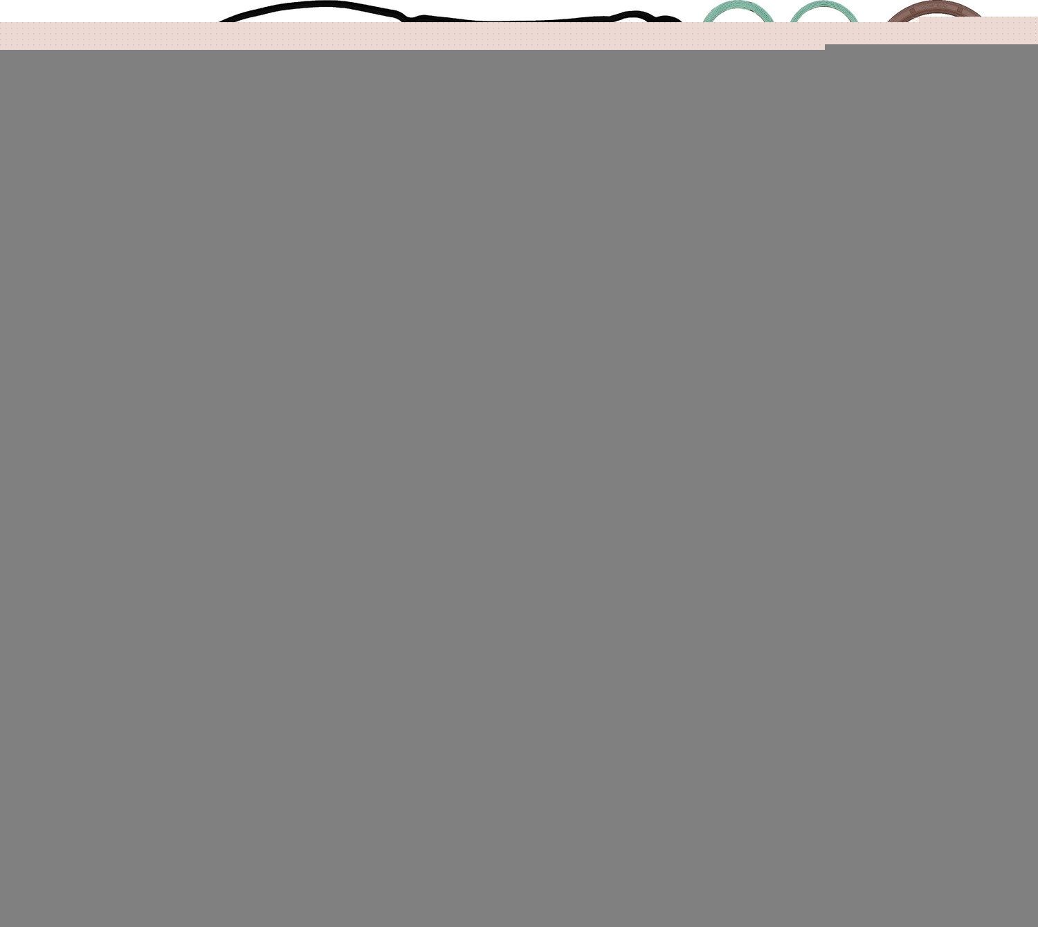 2005, 2004, 2003, 2002, 2001 Lexus IS300 Engine Gasket Set