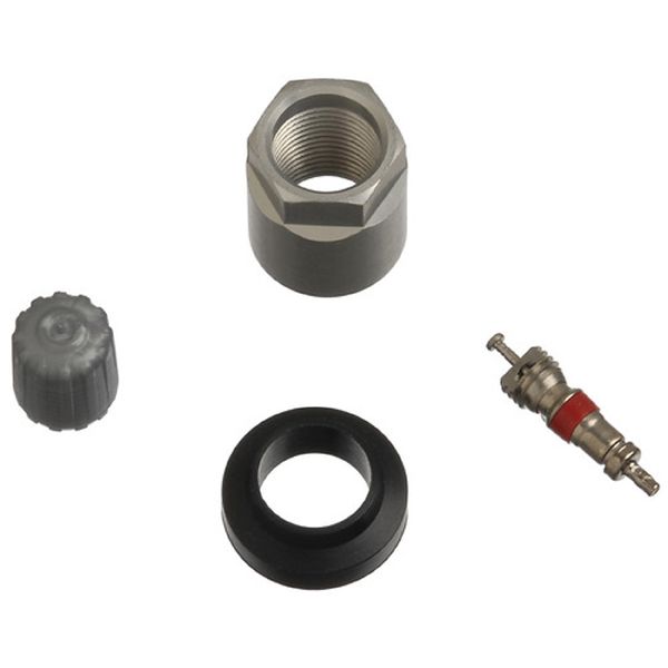 Tire Pressure Monitoring System (TPMS) Sensor Serv (Schrader 20022-25)