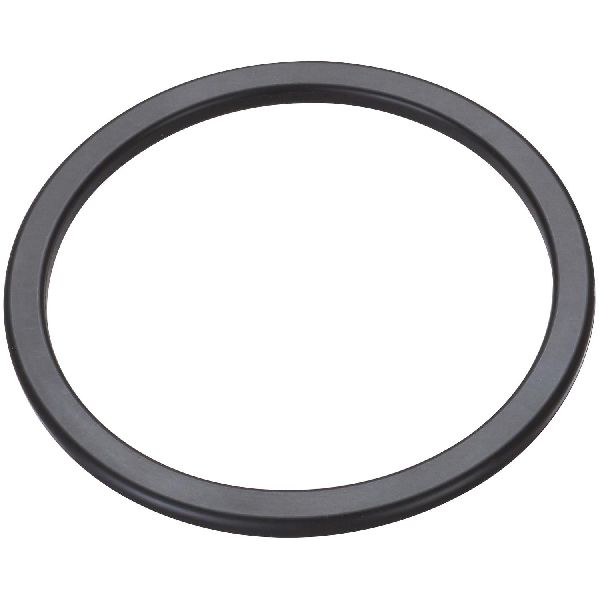 Fuel Pump Tank Seal (Spectra LO211)