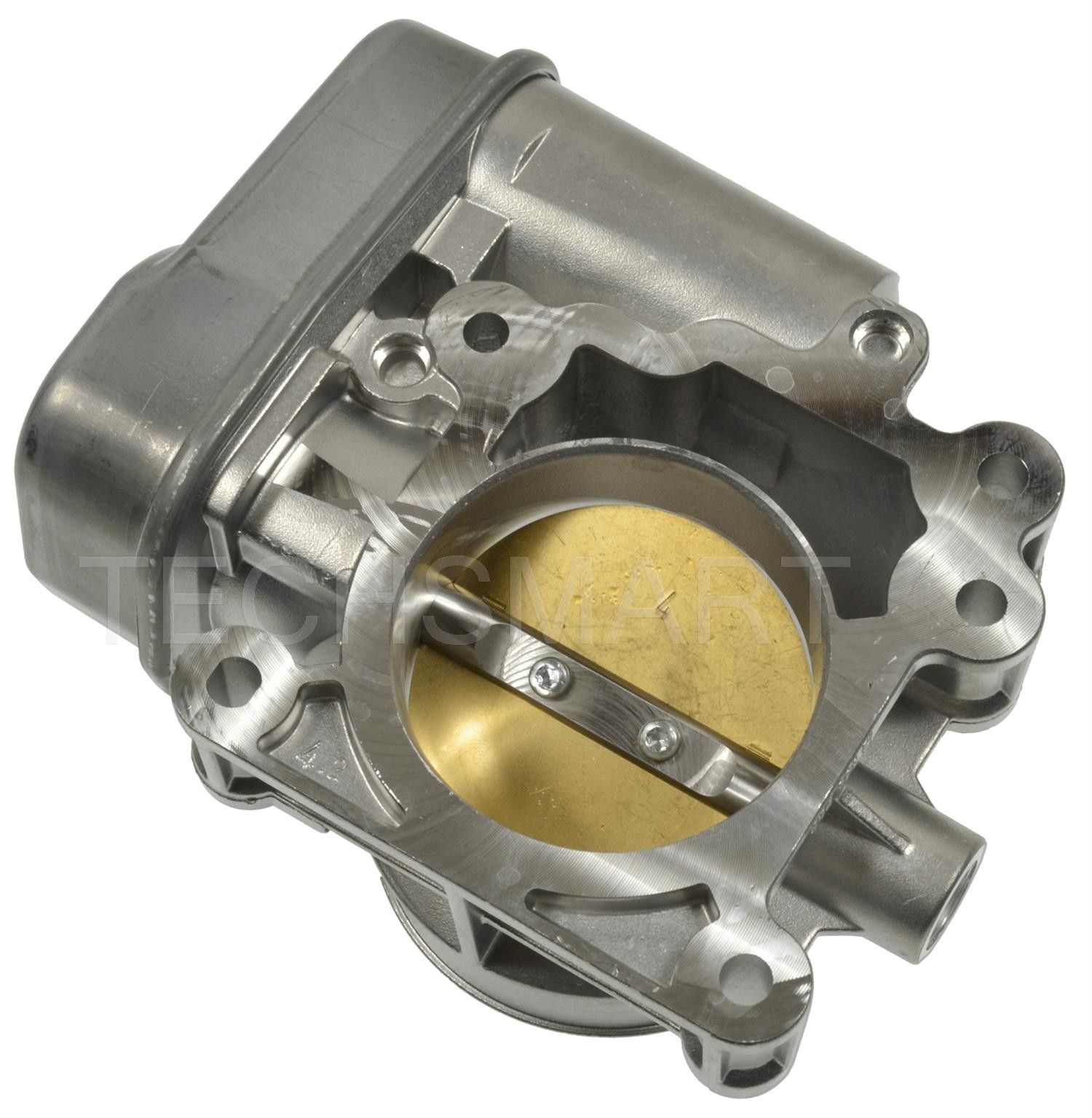 Fuel Injection Throttle Body