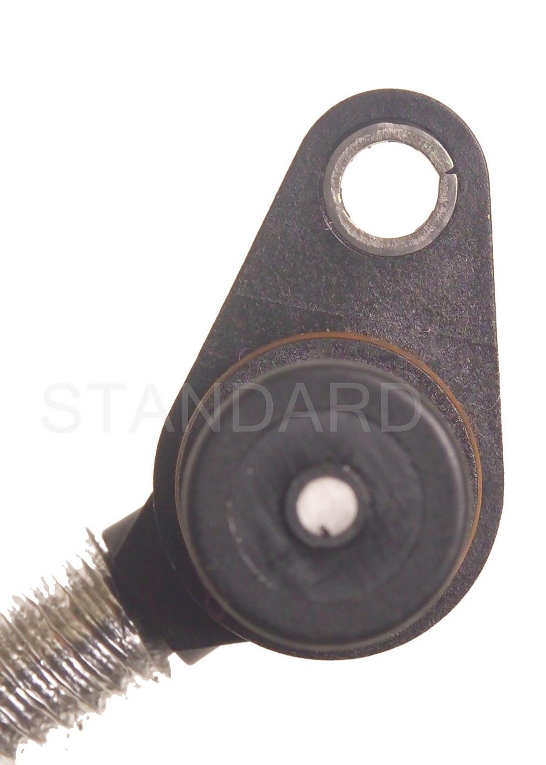 Engine Crankshaft Position Sensor