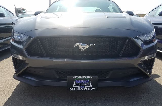 STO N SHO License Plate Bracket 