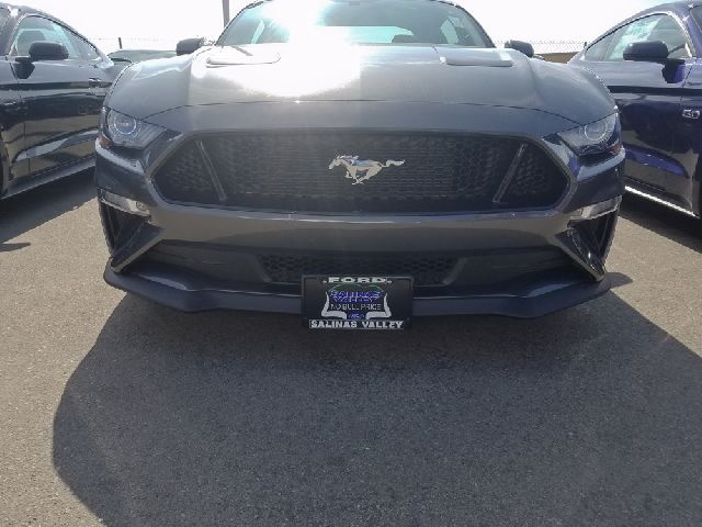 STO N SHO License Plate Bracket 