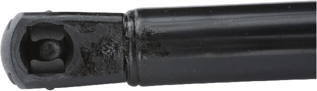 Hood Lift Support for 2002-2009 Audi A4 (Strong Arm 6444)
