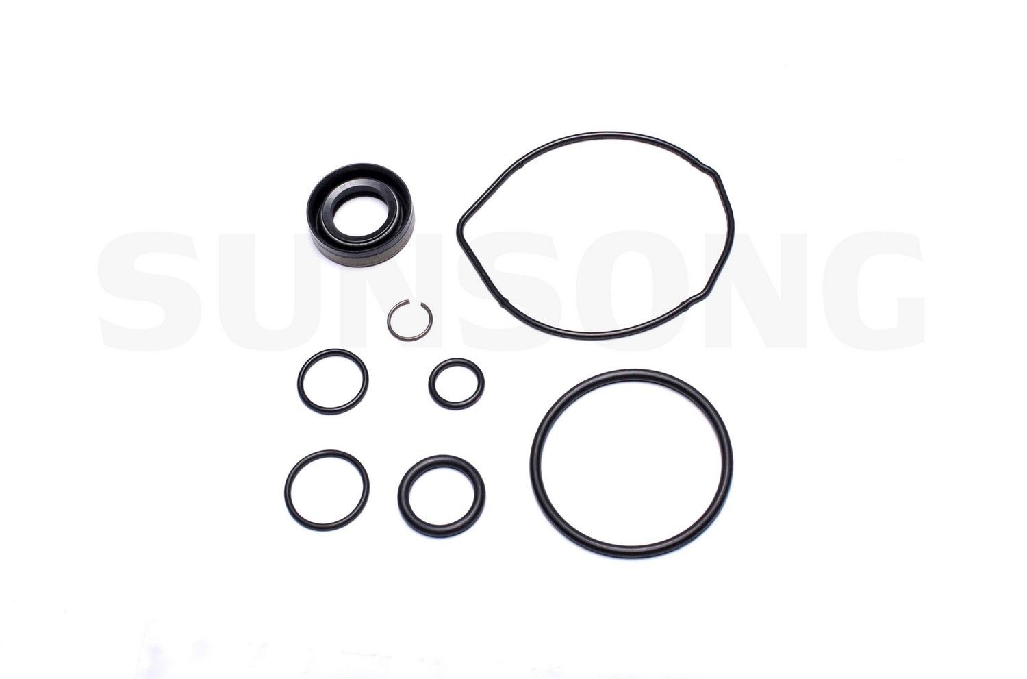 2007, 2006, 2005, 2004, 2003, 2002, 2001 Dodge Caravan Power Steering Pump Seal Kit