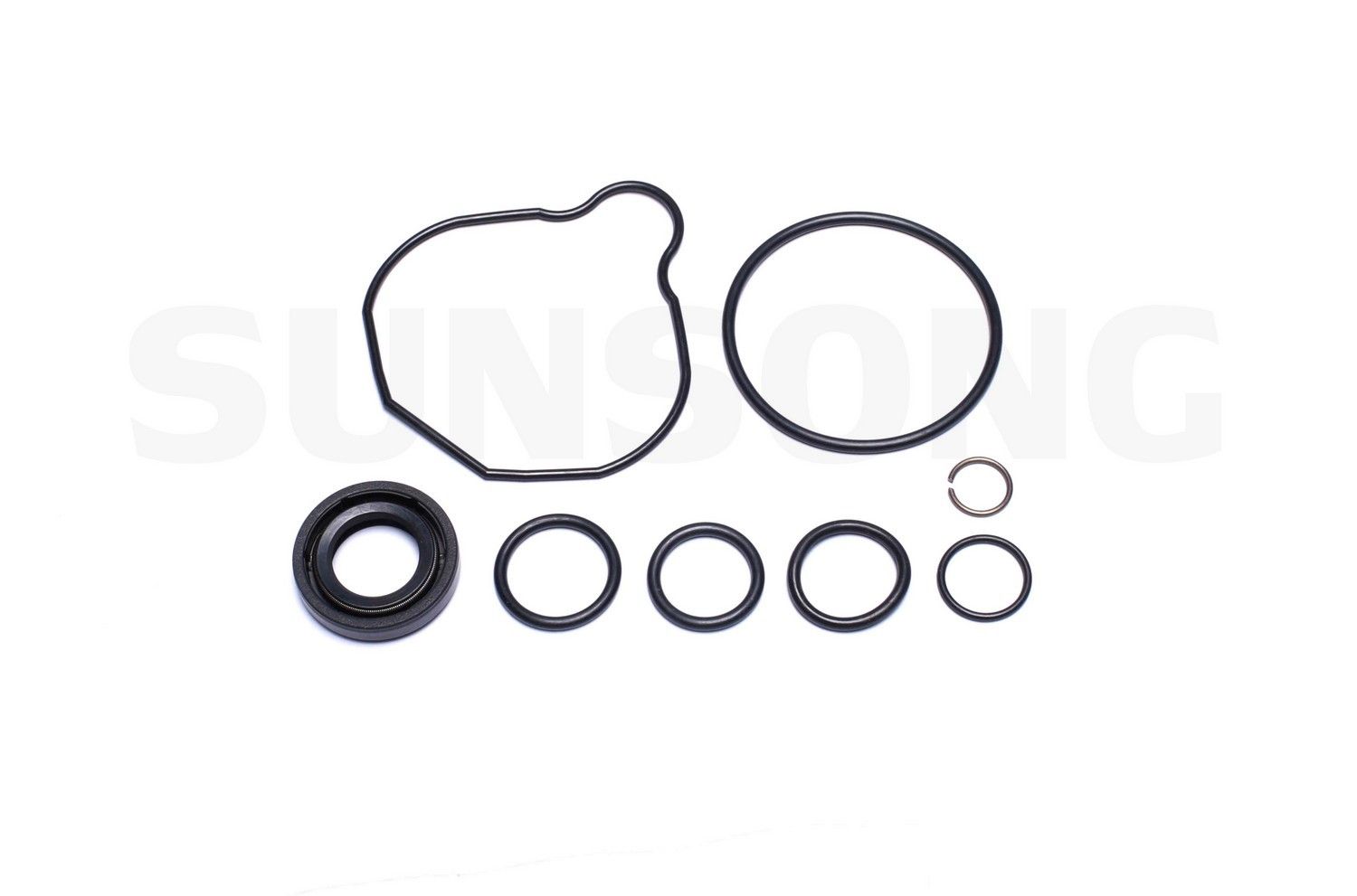 2004, 2003, 2002, 2001, 2000, 1999 Isuzu Rodeo Power Steering Pump Seal Kit