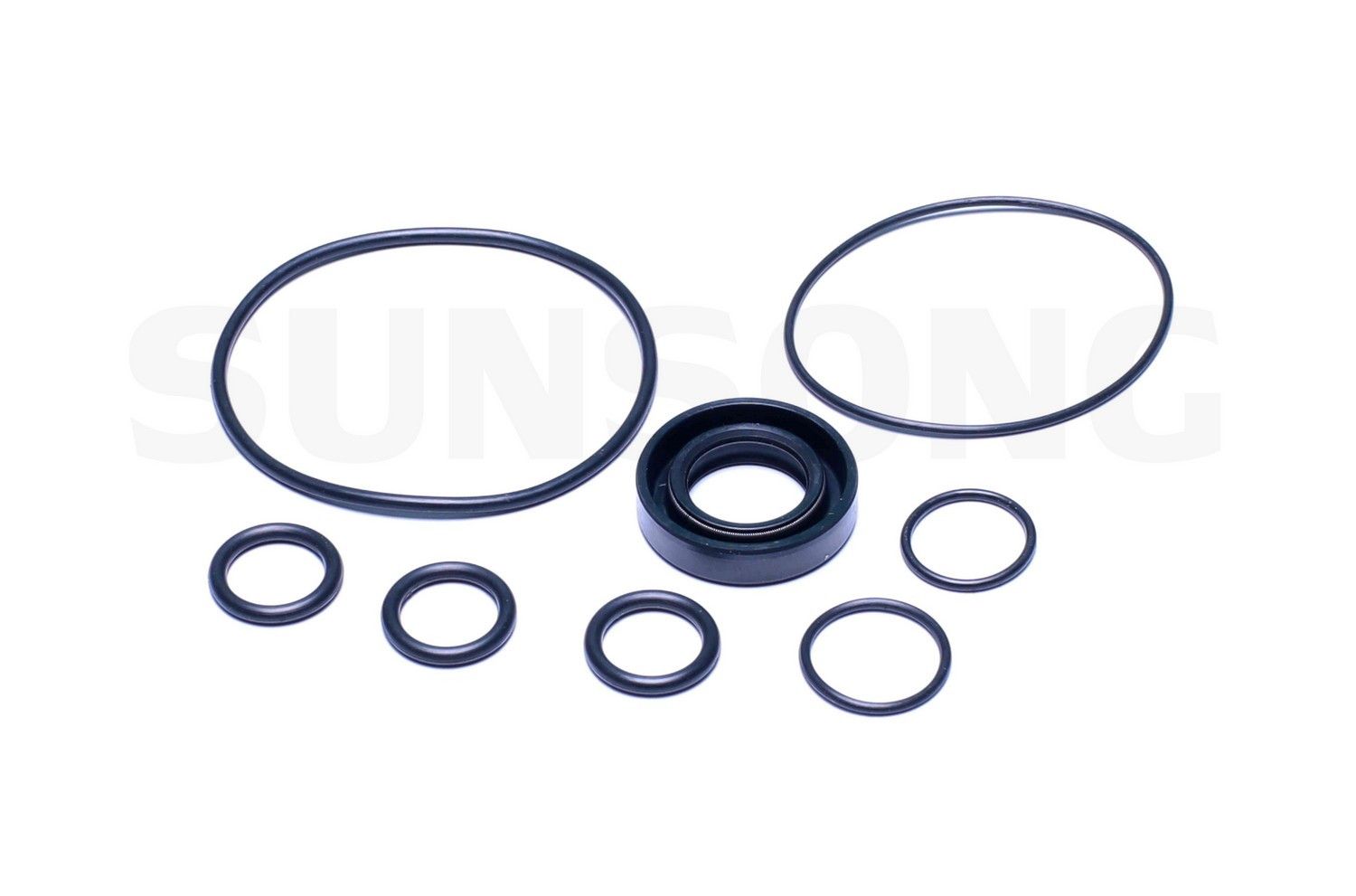 1996, 1995, 1994 Buick Regal Power Steering Pump Seal Kit