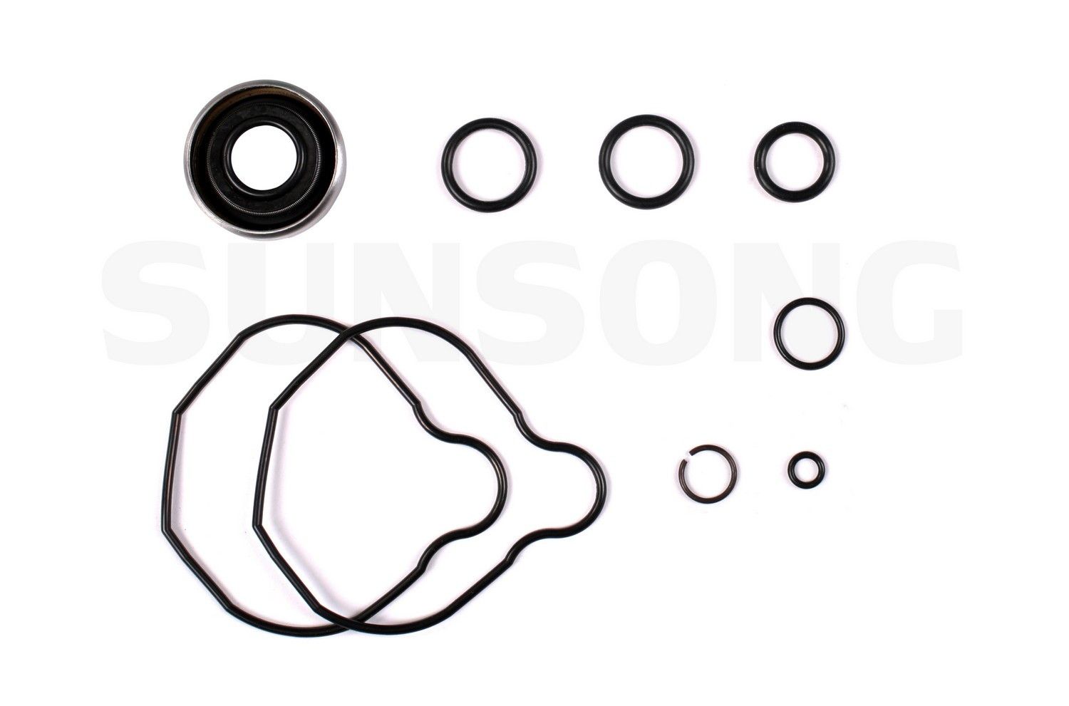 1995, 1994, 1993, 1992, 1991, 1990, 1989 Geo Tracker Power Steering Pump Seal Kit
