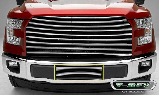 T-Rex Bumper Grille Insert 