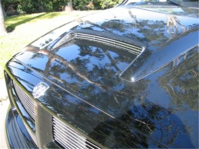 T-Rex Hood Scoop Grille Insert 