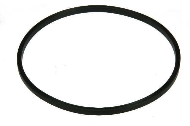 Fuel Pump Seal (URO Parts NI0515878)