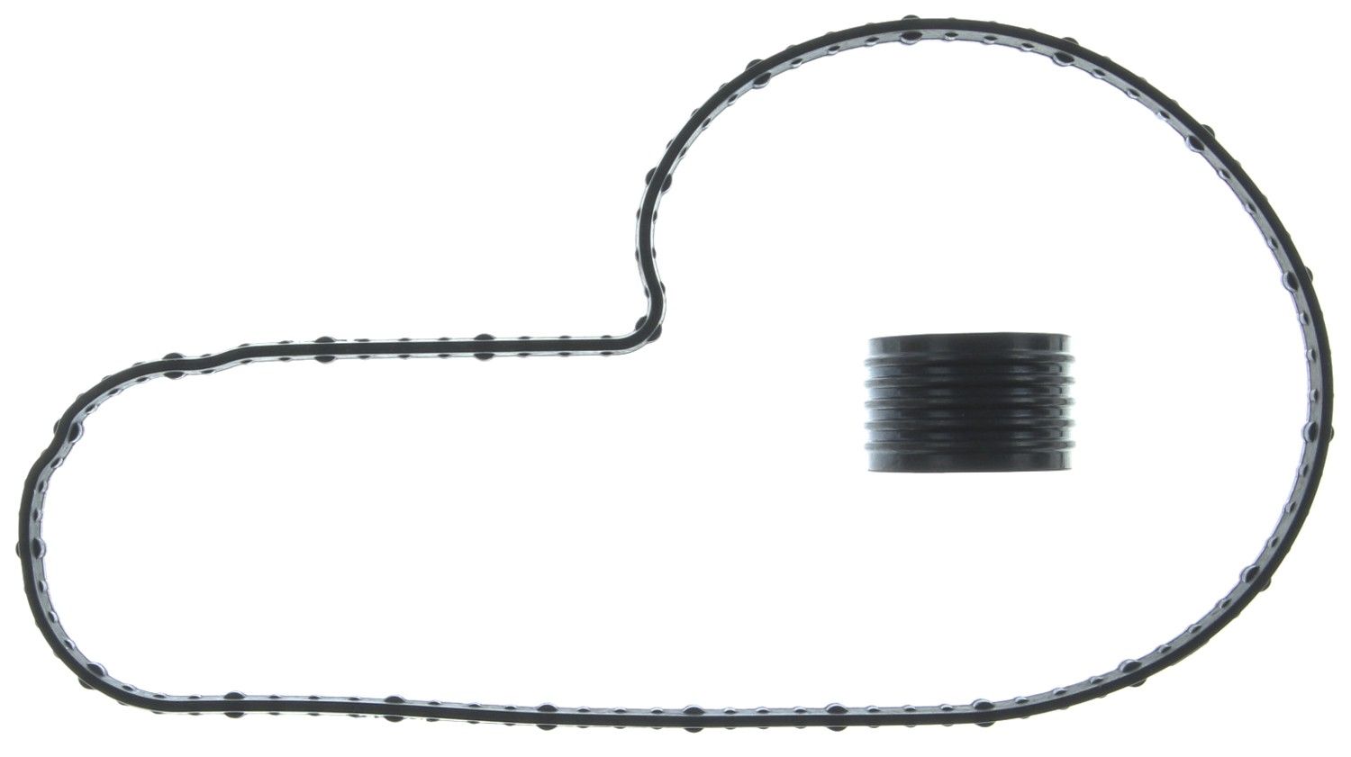 2019, 2018, 2017 Ford Fusion Engine Water Pump Mounting Gasket