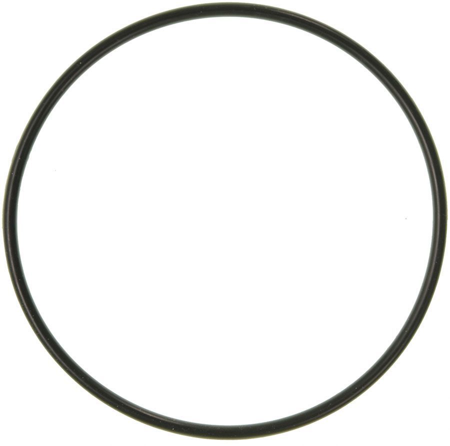 2003 Ford Excursion Engine Water Pump Gasket