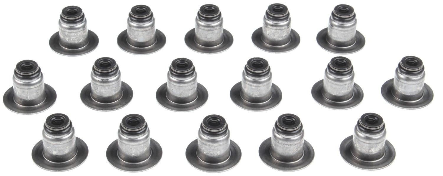 2014, 2013, 2012, 2011, 2010 Ford F-150 Engine Valve Stem Oil Seal Set