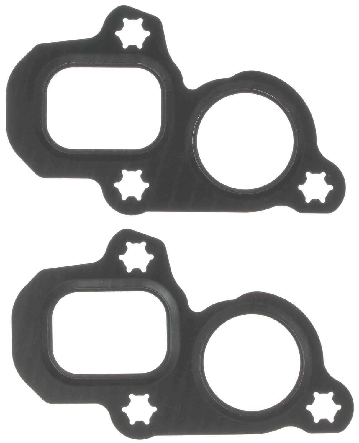 2022, 2021 Chevrolet Express 2500 Engine Water Pump Gasket