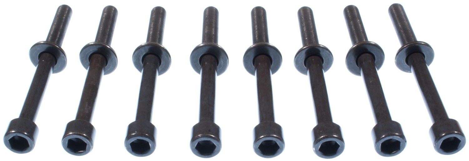 2011, 2010, 2009 Suzuki Equator Engine Cylinder Head Bolt Set