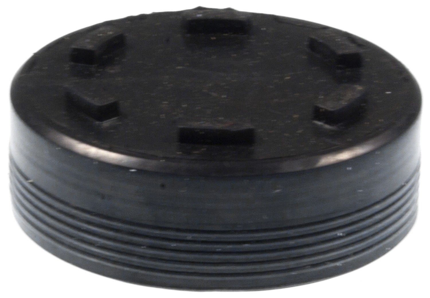 Engine Camshaft Plug