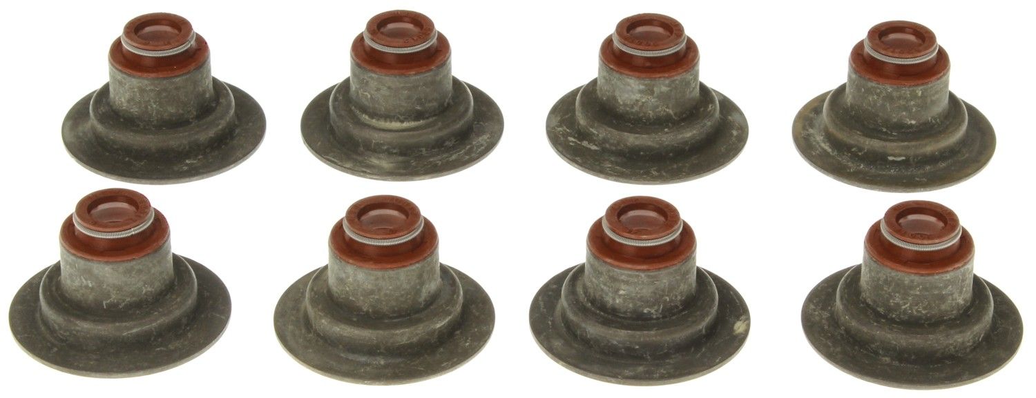 2004, 2003, 2002, 2001, 2000 Ford Focus Engine Valve Stem Oil Seal Set