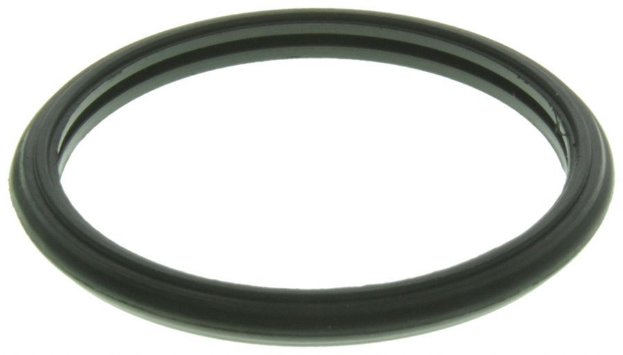 2003, 2002, 2001, 2000, 1999 Chevrolet Tracker Express Engine Coolant Outlet Gasket