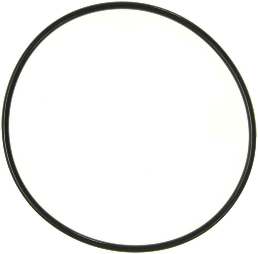 2005, 2004, 2003 Ford Excursion Engine Water Pump Gasket
