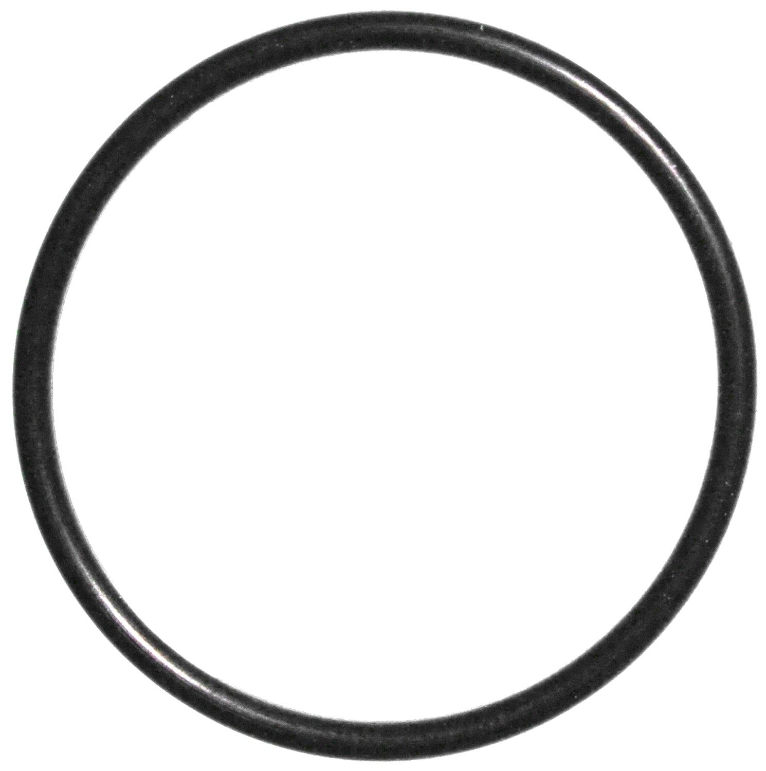 Fuel Pump Gasket