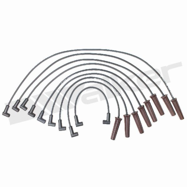 Spark Plug Wire Set for 1995-1996 Chevrolet C70 Kodiak (Walker Products 924-1511)