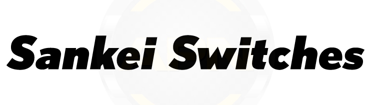 Sankei Switches