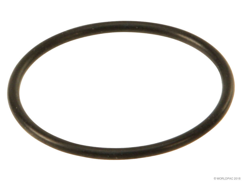 Fuel Pump Gasket (Victor Reinz W0133-1925129)