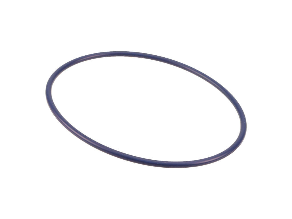 Fuel Pump Tank Seal (Genuine W0133-2793719)