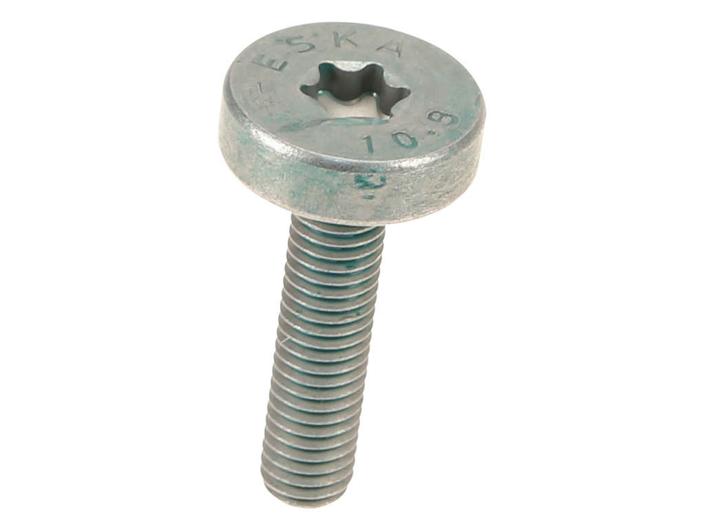 2016, 2015, 2014, 2013, 2012, 2011, 2010, 2009 Porsche Boxster Belt Tensioner Bolt