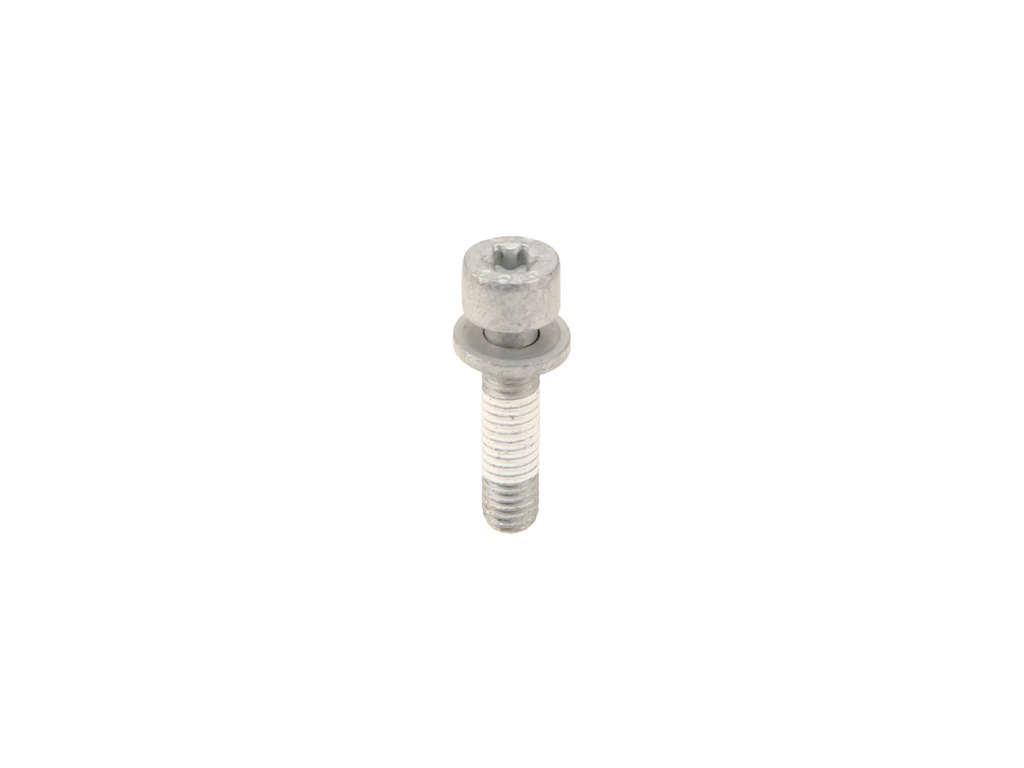Fuel Pump Bolt (Genuine W0133-3642032)