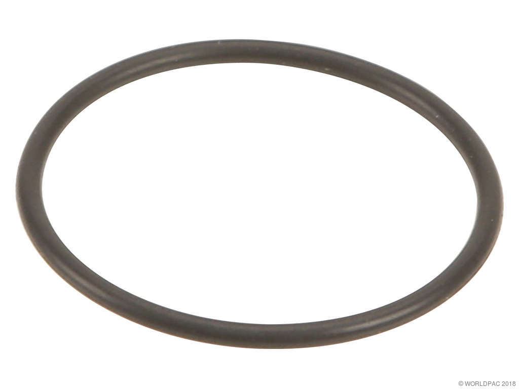Fuel Pump Gasket (Genuine W0133-1931323)