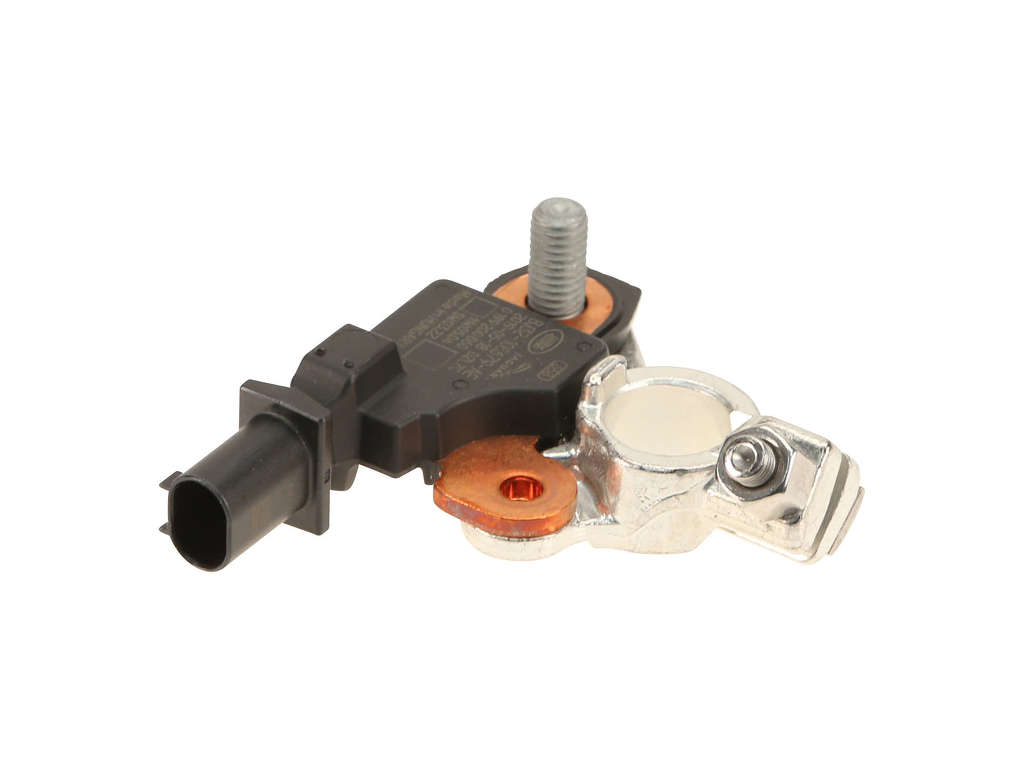 Battery Cable (Genuine W0133-2121206)